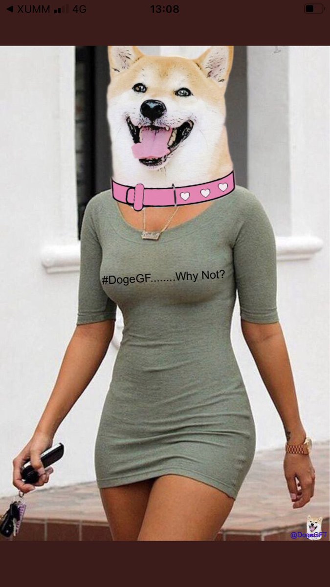 DigexC's tweet photo. @AnnaUKCrypto #DogeGF to the stratosphere. 1000x and more. Enjoy the ride! #ELON #BabyDoge #dogelon #ALTSEASON #1000xgem #BABYBITC #ALGO #XRPL https://t.co/CuTBTGwUlf