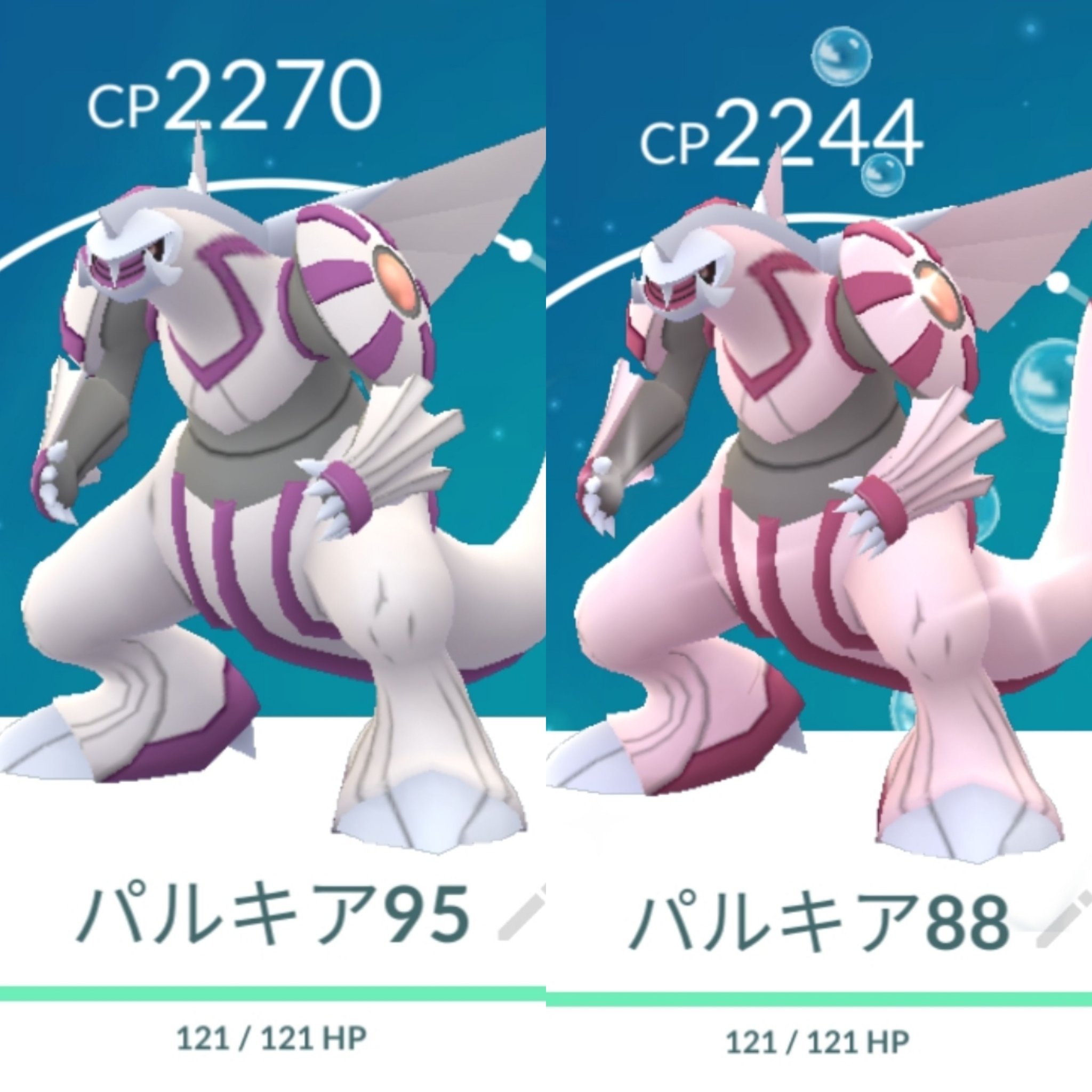 兎鳥 ポケモン Fgo 色違いパルキア厳選してるのはいいんだけど 色違いのパルキアってパッと見分かりにくいんだよねぇ T Co 1gghjhq3r9 Twitter