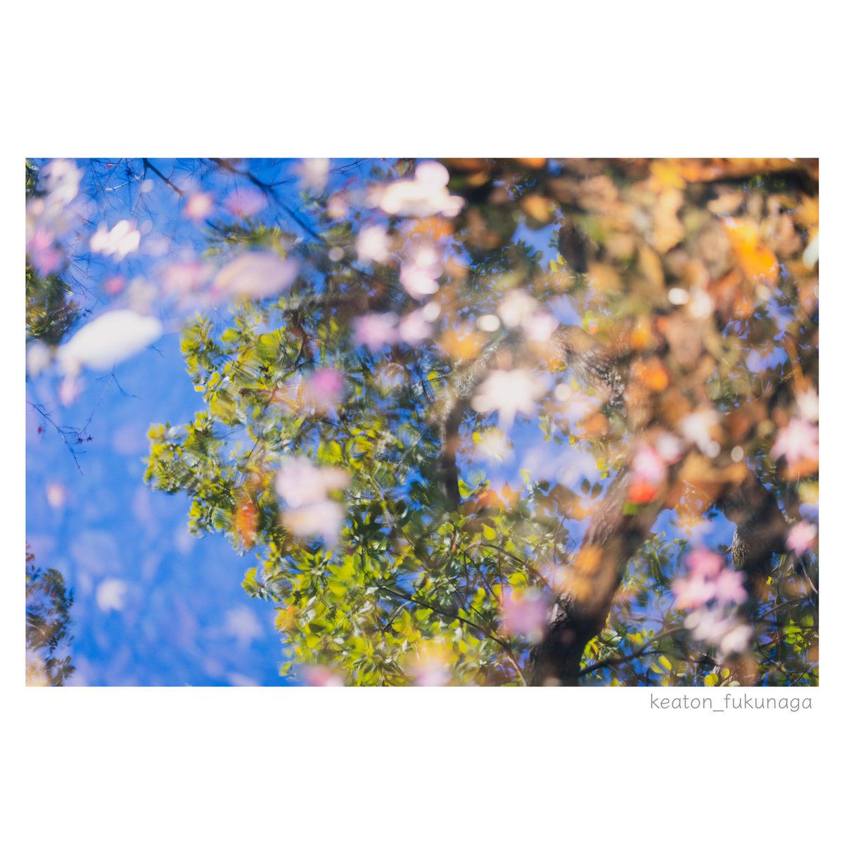 keaton_fukunaga's tweet photo. 撮影中のふとした瞬間。
抽象絵画のように見えたのでシャッターを切った。
#EOR5DMK4
#sigma50Art https://t.co/6Q4wRjyaJj