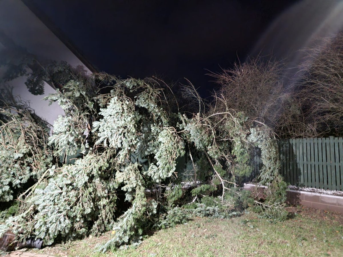 Dementedsquire7's tweet photo. 40ft tree faints in high winds from Storm Arwen 🤦‍♂️

Luckily everyone is safe, ours and next doors houses are OK(ish)... busy day ahead https://t.co/Tub7BVSEug
