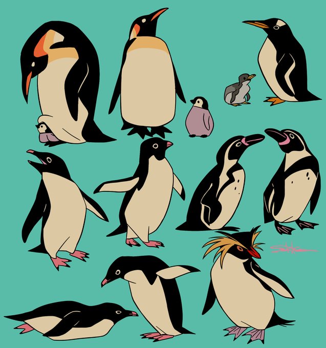 「ペンギン」のTwitter画像/イラスト(人気順｜RT&Fav:50)