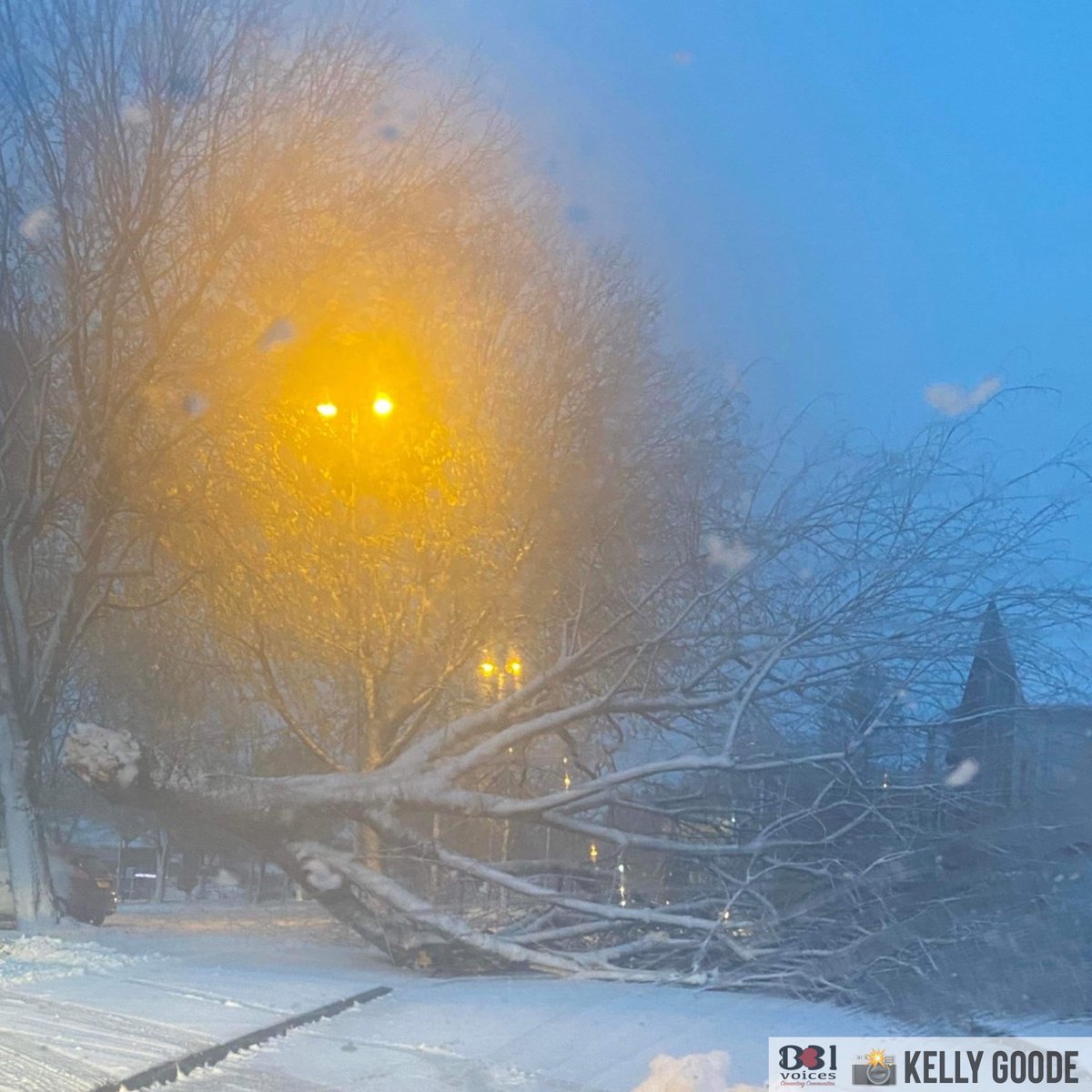 B31Voices's tweet photo. ❄️ #SWBrumSnowWatch ❄️ #SWBrumTRAVEL FALLEN TREE • Road blocked • Redhill Road #WestHeath by Man on the Moon pub (West Heath side) • Avoid #StormArwen https://t.co/6tyvi9oCFH