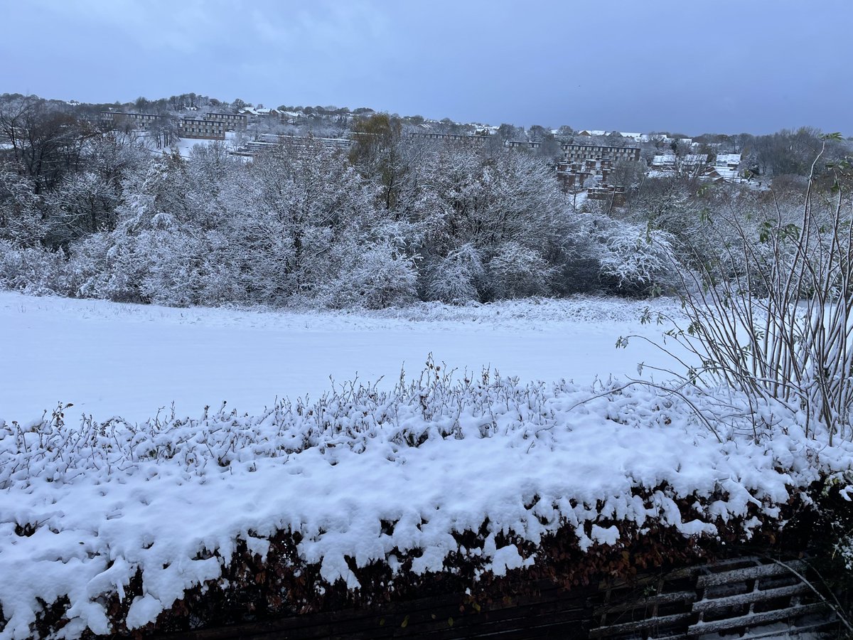 myla_labrador's tweet photo. @metoffice Sheffield ☃️❄️🌨 https://t.co/FmR1M43xe9