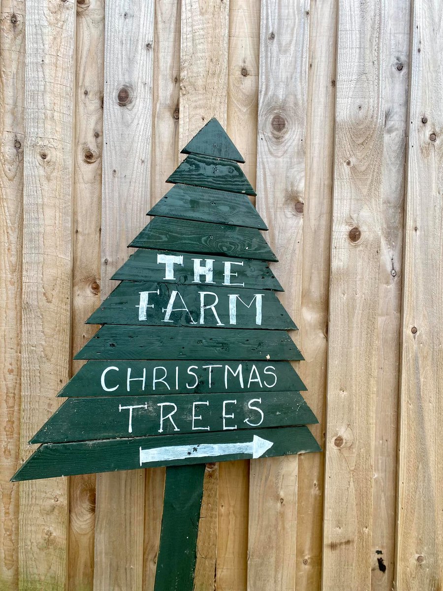 ShakespearesEng's tweet photo. 🎄 When do you put your tree up?

@TheFarmSUA's Christmas Trees have arrived in a range of different sizes, plus potted trees &amp; tree stands. Delivery is available within a 10 mile radius of The Farm, too.

#ChristmasInWarwickshire #BuyEatLocal https://t.co/vFS5ZBeppO