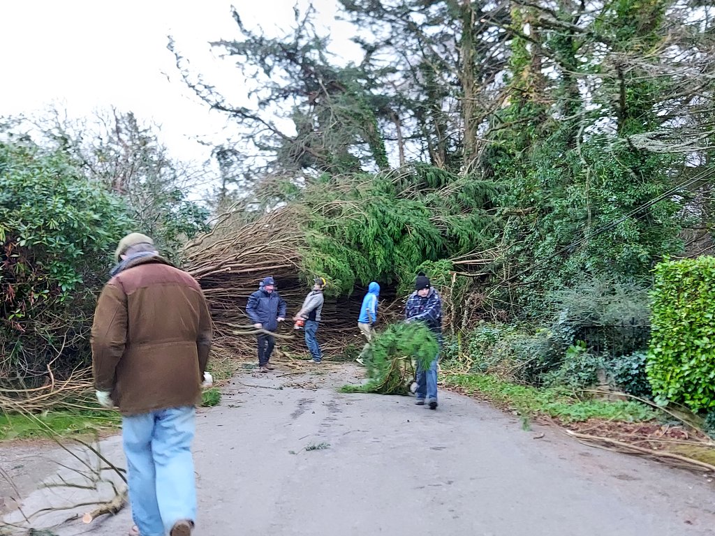 OllieFangClub's tweet photo. Thank you for all the shelter you've provided when I've been caught out in a shower, whilst walking Medi & Gizzy. #RIPTree #StormArwen
😥🌲😥 https://t.co/gVpUC8aySq