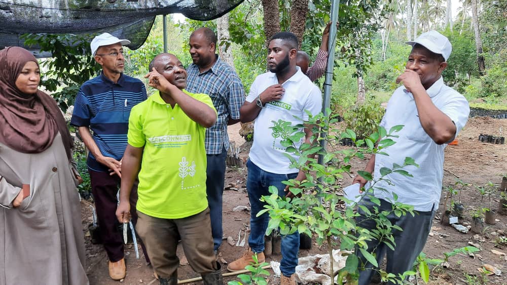 ViungoProject's tweet photo. "Kupitia utalamau niliojifunza na kujiendeleza zaidi kupitia mradi wa Viungo  sasa hivi naweza kuufanya mti wa mchungwa kuzalisha Machenza, Machungwa na Ndimu kwenye mti mmoja," Kurwa Othman Chande mnufaika #ViungoProject. #ShambaLanguMtajiWangu 

#AgriConnect funded by @EUinTZ https://t.co/41Ml7GdqLP