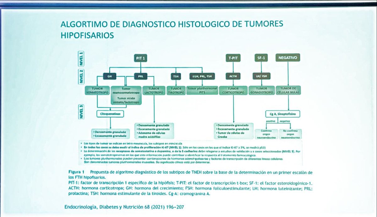 ElenaDF75's tweet image. #UpSAEDYN

Mariola Avilés

Nueva clasificación de tumores hipofisarios: guía @sociedadSEEN @NeuroendocrinoS 

#PitNETS

▪️No funcionate—-&amp;gt; silente 
▪️Atípico —-&amp;gt; subtipo de alto riesgo 

Y 🆕algoritmo diagnóstico histológico 
@SAEDYN_