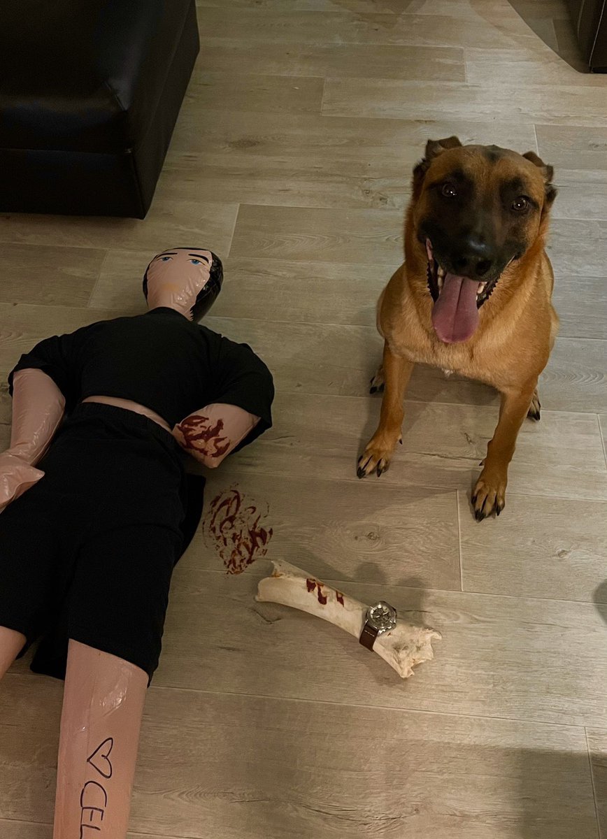 TempusShop's tweet image. Voici nos 4 nominés pour gagner la fameuse Seiko Worldtimer 

1) @FrankyInvalid alias Roronoa Zoro 
2) @Mr_Babounee et son cabot
3) @kamss34 et le gâteau Tudor 
4) @b_sof1 et son matou 

A vos votes ! (Sondage sous ce tweet)