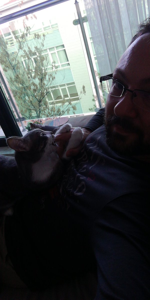 Randomim Software tweet media