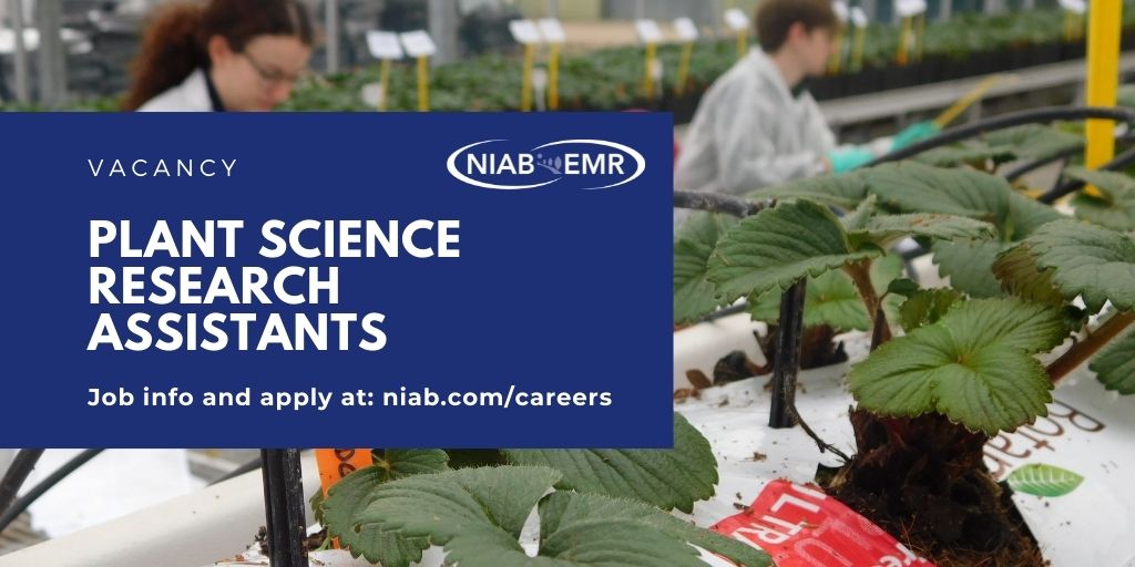 📢#Vacancy
We're looking for new Research Assistants to join our team @NIABEMR in Kent. You'll provide work in our Crop Science and Production Systems department, on several projects. Closing date 03/12

Full job description and apply➡️ow.ly/ySyt50GX8Xo

#PlantSciJobs #Jobs