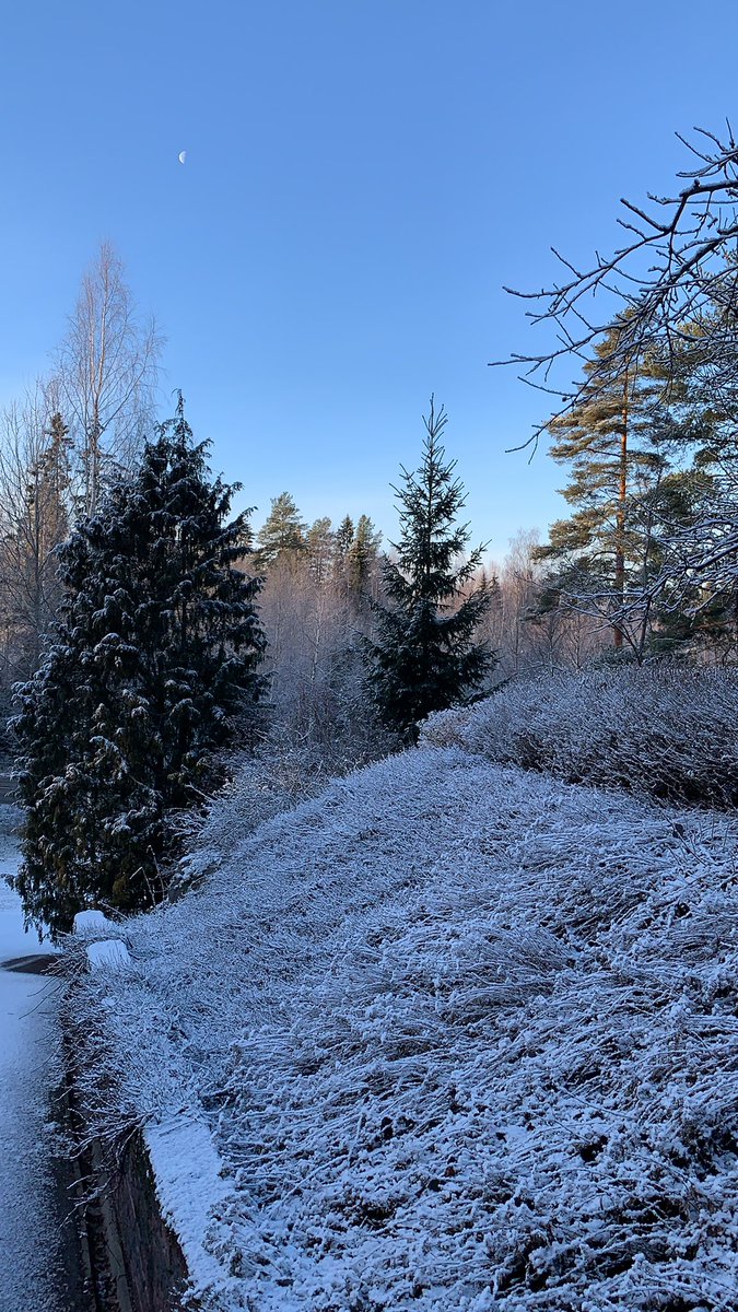 Tilaisin tällaisen sään jouluaatoksi, kiitos #valkeajoulu #joulutoive