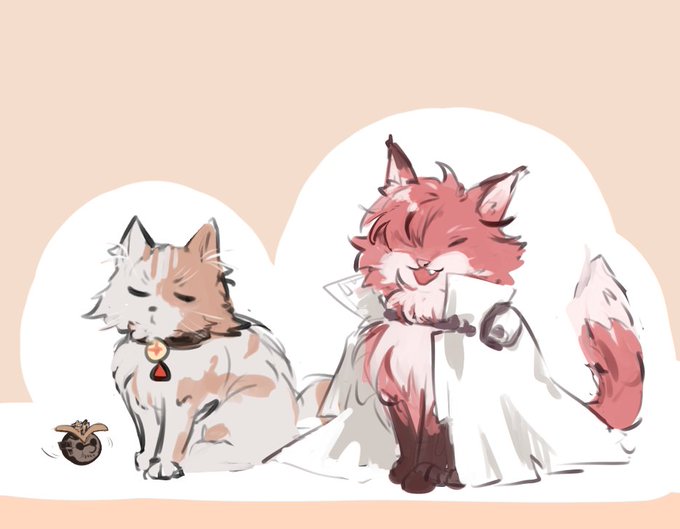高阿国/高阿☞🐱🦊?
こんな感じで好き 