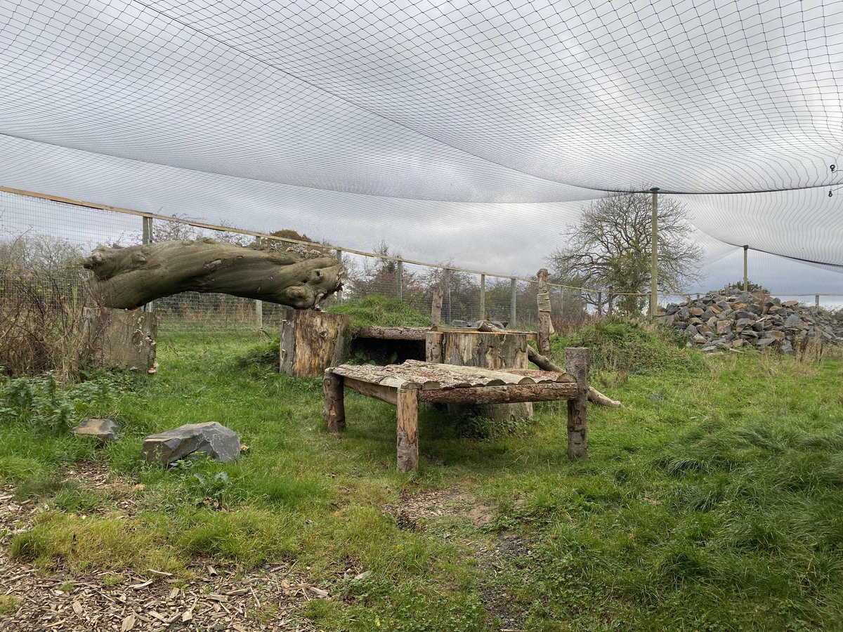 *NEWS*
Northumberland Zoo is CLOSED today due to the weather. We will welcome you back from tomorrow! Don’t blow away!

In the meantime.. can you spot the animal in this photo? 🤔