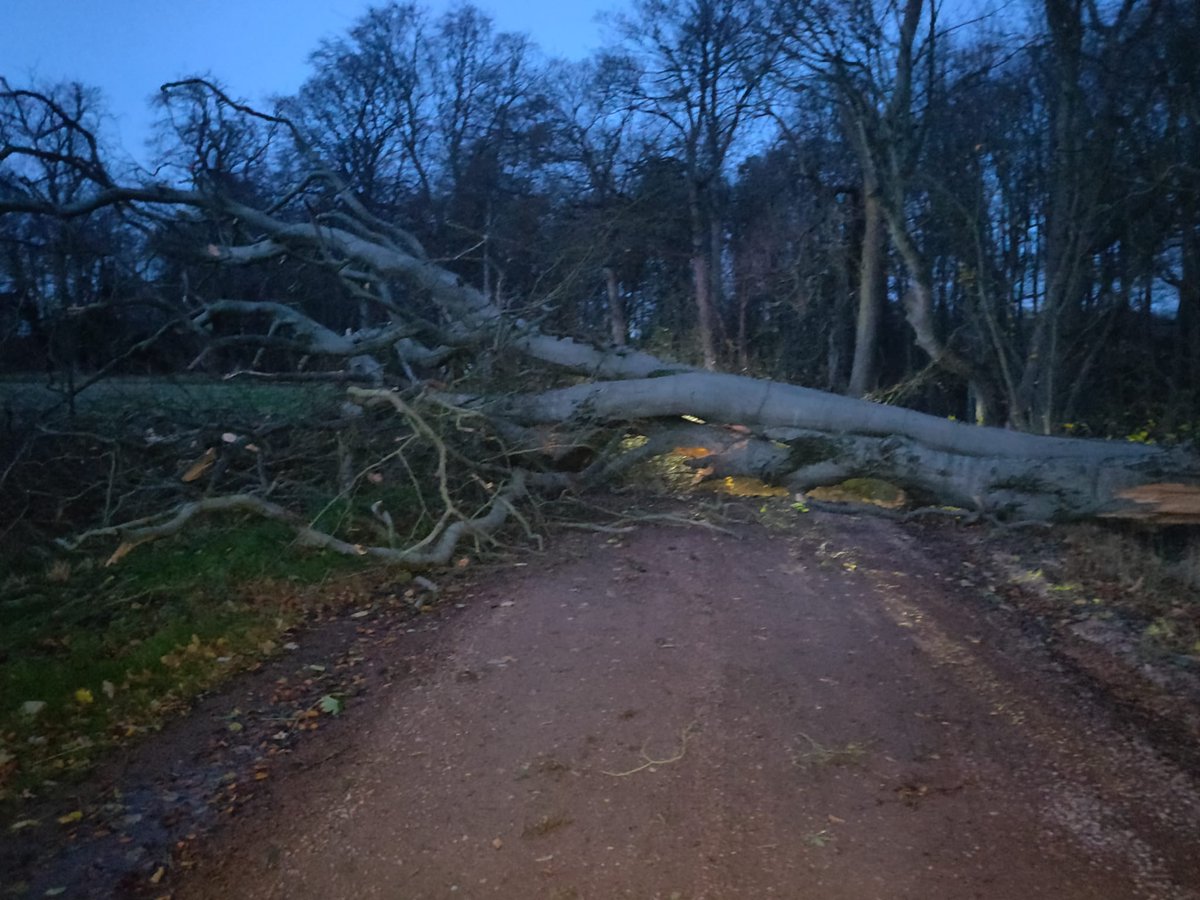 DarnleysGin's tweet photo. Important update - our Visitor Centre, cafe and shop are unfortunately closed today as a tree has blown-down and is blocking our driveway. Anybody who was booked on a tour has been informed directly. We will post an update ASAP. Sorry for any inconvenience caused. https://t.co/YlZyB2jfiK