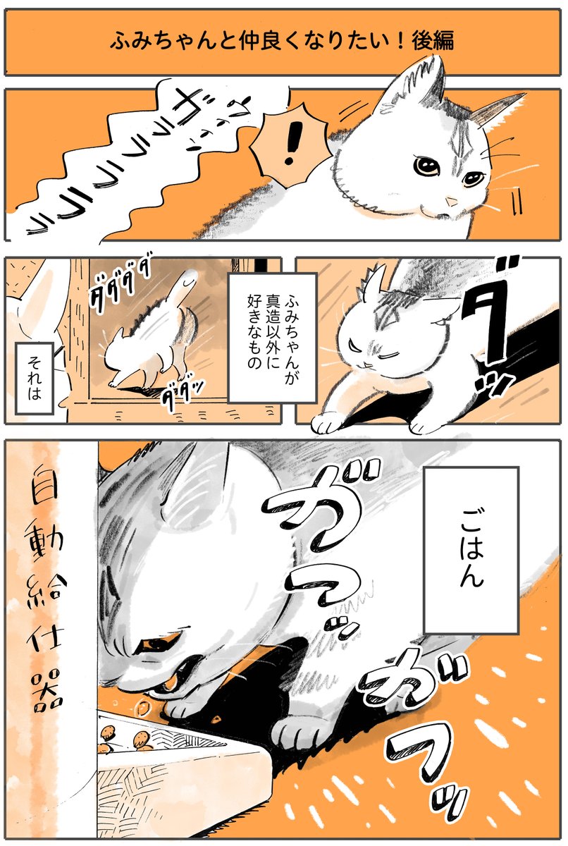 『猫と仲良くなりたい!』
後編1/2 