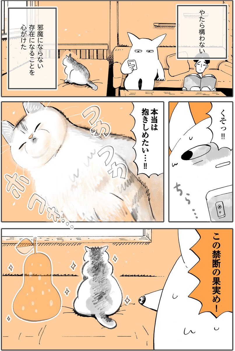 『猫と仲良くなりたい!』
後編1/2 
