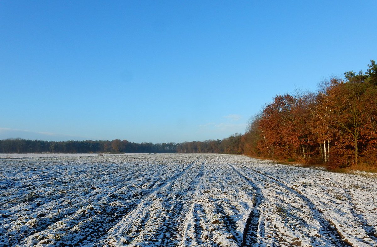 HeijdenJozef's tweet photo. #Eerste_sneeuw in Hulsel (N-Br)
Nog voor middernacht (26-11-2021) begon het te sneeuwen. Vanmorgen scheen de zon. Mooi op er op uit te gaan. Het is nog #Herfst, maar de #winter dient zich aan. (bij de #Raamsloop)
@BoswachterFrans @Brab_Landschap @wddommel https://t.co/CkV61PqWn5