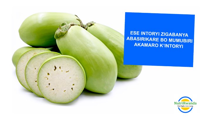 NutriRwanda's tweet photo. ESE INTORYI ZABA ZIGABANYA ABASIRIKARE BO MUMUBIRI? AKAMARO K’INTORYI.

https://t.co/96VfAkBLxT https://t.co/AOPtjE3Xbn