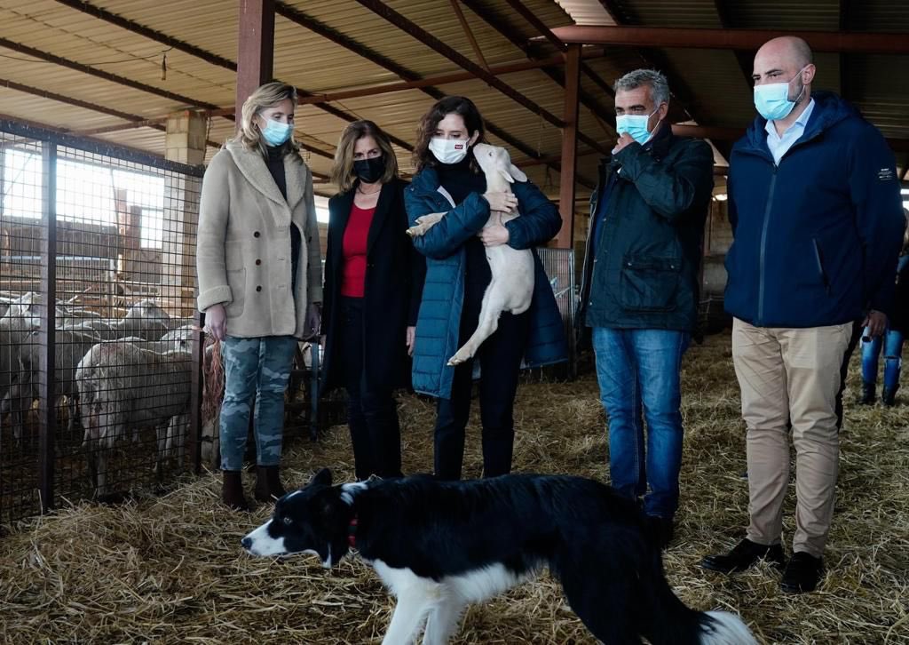 🤦‍♀️Queremos agradecer a la presidenta de la comunidad <a href="/IdiazAyuso/">Isabel Díaz Ayuso</a> su visita a nuestra pequeña ciudad de 50.000 habitantes para visualizar la "España vaciada".
Esperamos que nuestro alcalde <a href="/jorge_garciad/">Jorge García</a> haya aprovechado  para trasladar las demandas de nuestro pequeño pueblo.