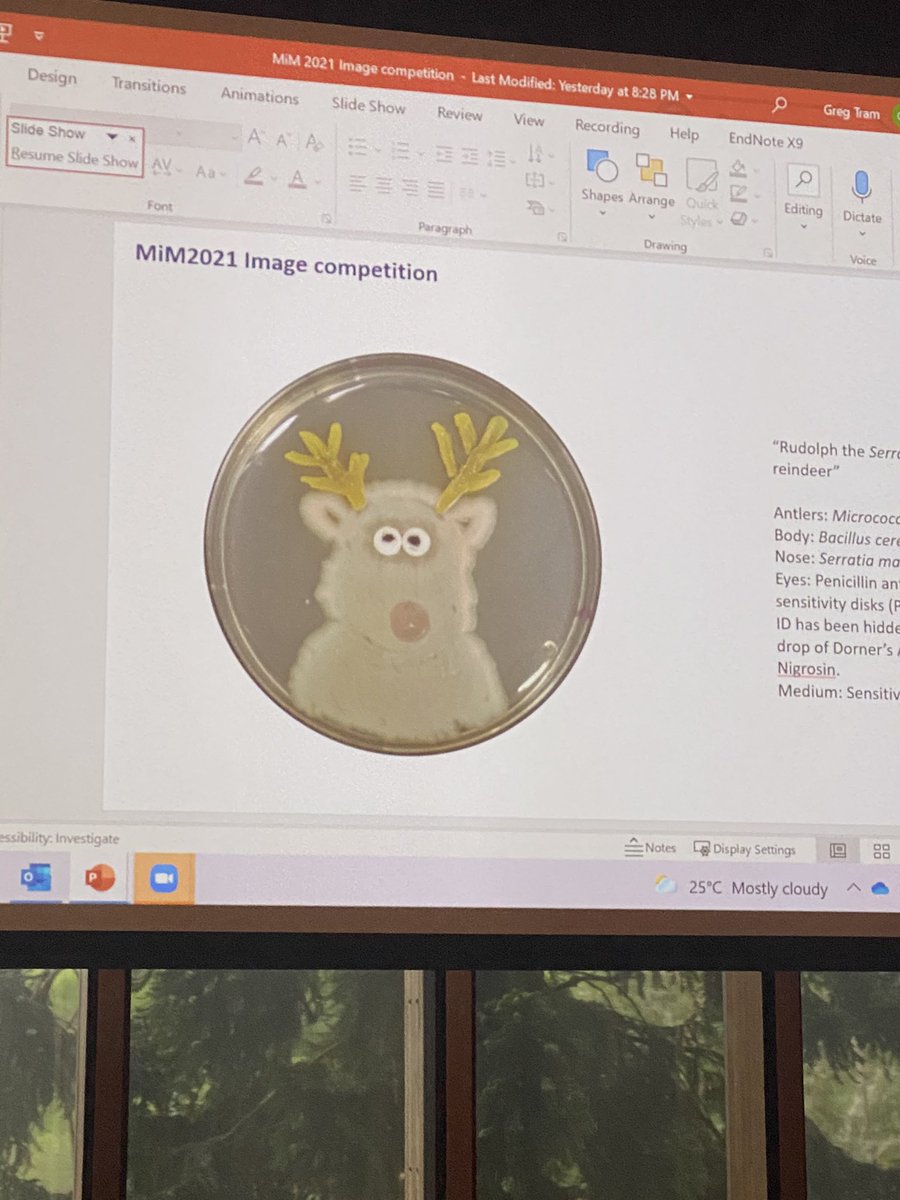 MnChamoun's tweet photo. So good to attend #MiM2021 today (in person) at UQ. Good talks and great to see everyone again. I loved this Xmas inspired Agar art too! @AUSSOCMIC https://t.co/nlYWTtfs6N