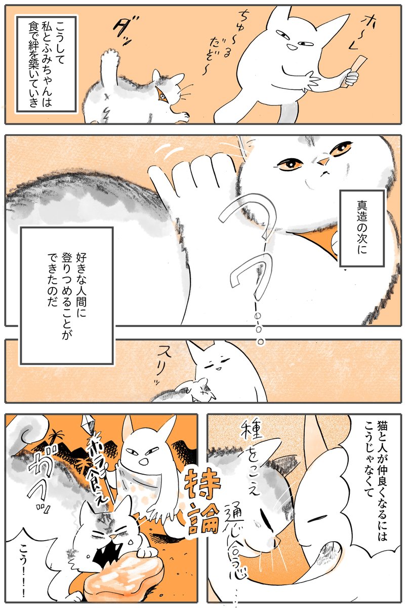 『猫と仲良くなりたい!』
後編2/2 