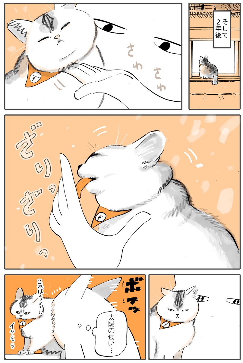 『猫と仲良くなりたい!』
後編2/2 