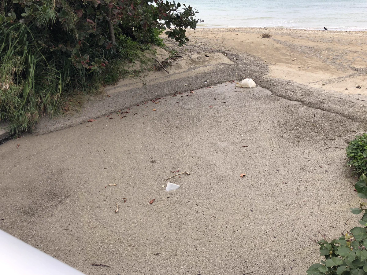 地面かと思い降りたらズボンがビチャビチャに…。軽石許さん！