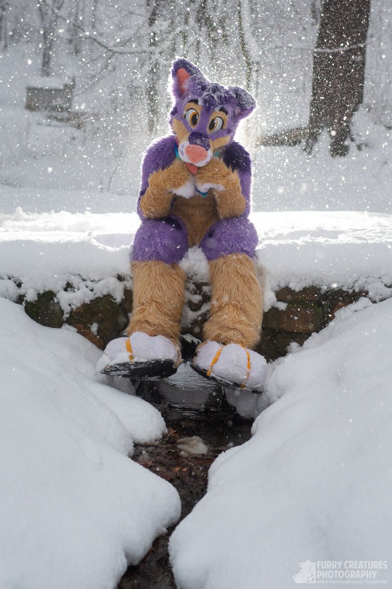 Maffik ๐จ๐ฟ (@maffik2) on Twitter photo I already have winter fur so it's pretty nice outside. ๐พ
#snow
#FursuitFriday
๐ธ<a href="/FurCPhoto/">Furry C. Photo</a> I already have winter fur so it's pretty nice outside. ๐พ
#snow
#FursuitFriday
๐ธ<a href="/FurCPhoto/">Furry C. Photo</a>