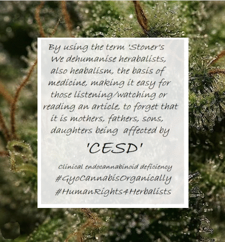 WinstonMatthews's tweet photo. #GC4ECS #GrowCannabis4Freedom #LetUsGrow #Growing4Change
#Growing2Change #GyoCannabisOrganically #Share #humanrights4herbalists https://t.co/5F1IMpNmgv