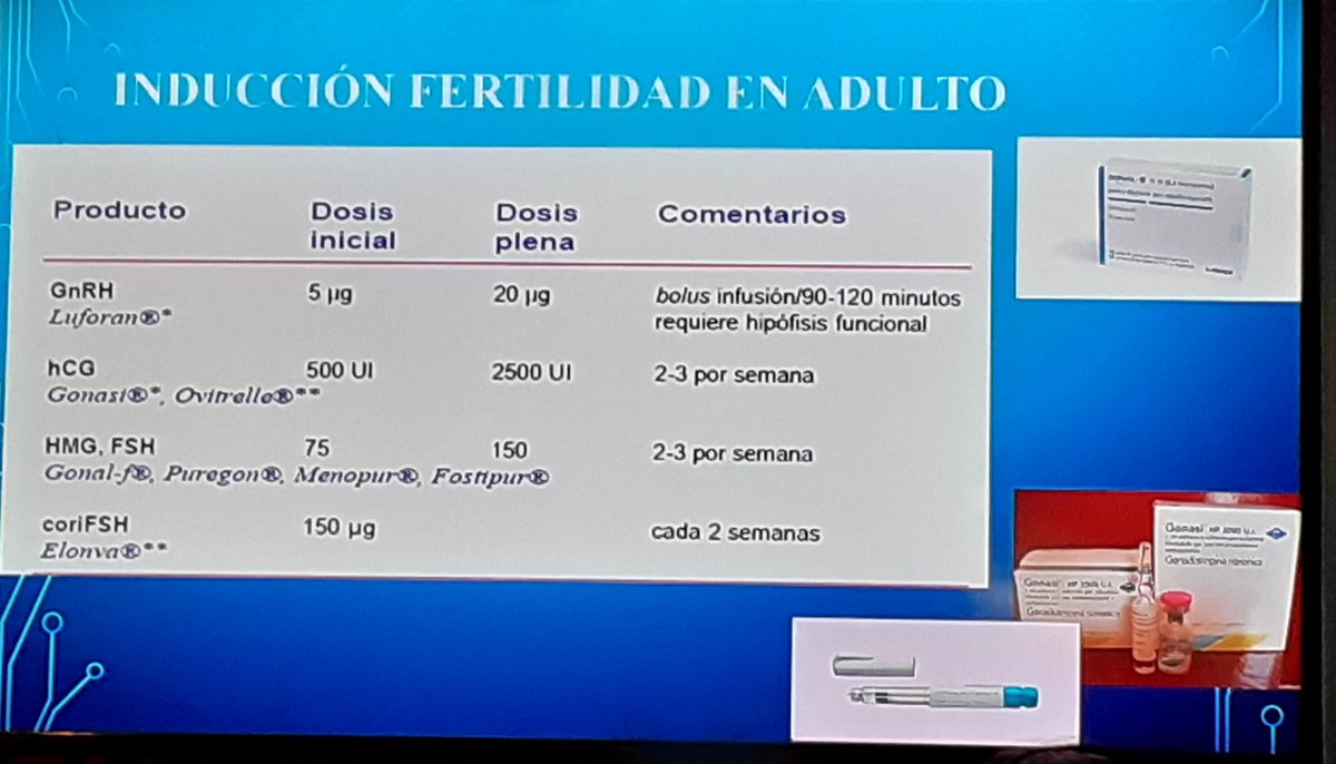 4nRR's tweet photo. Estupendo repaso sobre inducción de fertilidad masculina 👏🏻 @rodguezrabadan #UpSAEDYN https://t.co/QDPIq94PXk