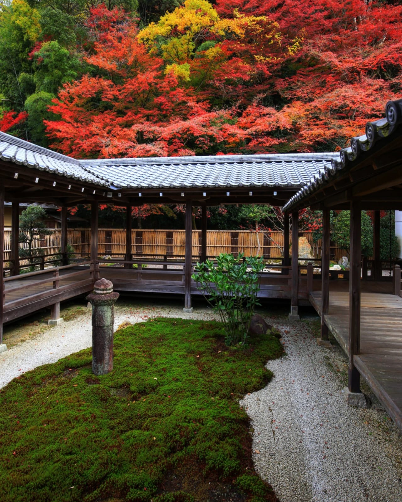南禅寺紅葉 Twitter Search Twitter