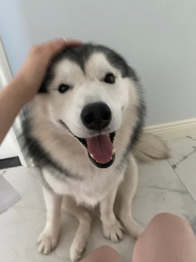 EncryptedLady's tweet image. So cute