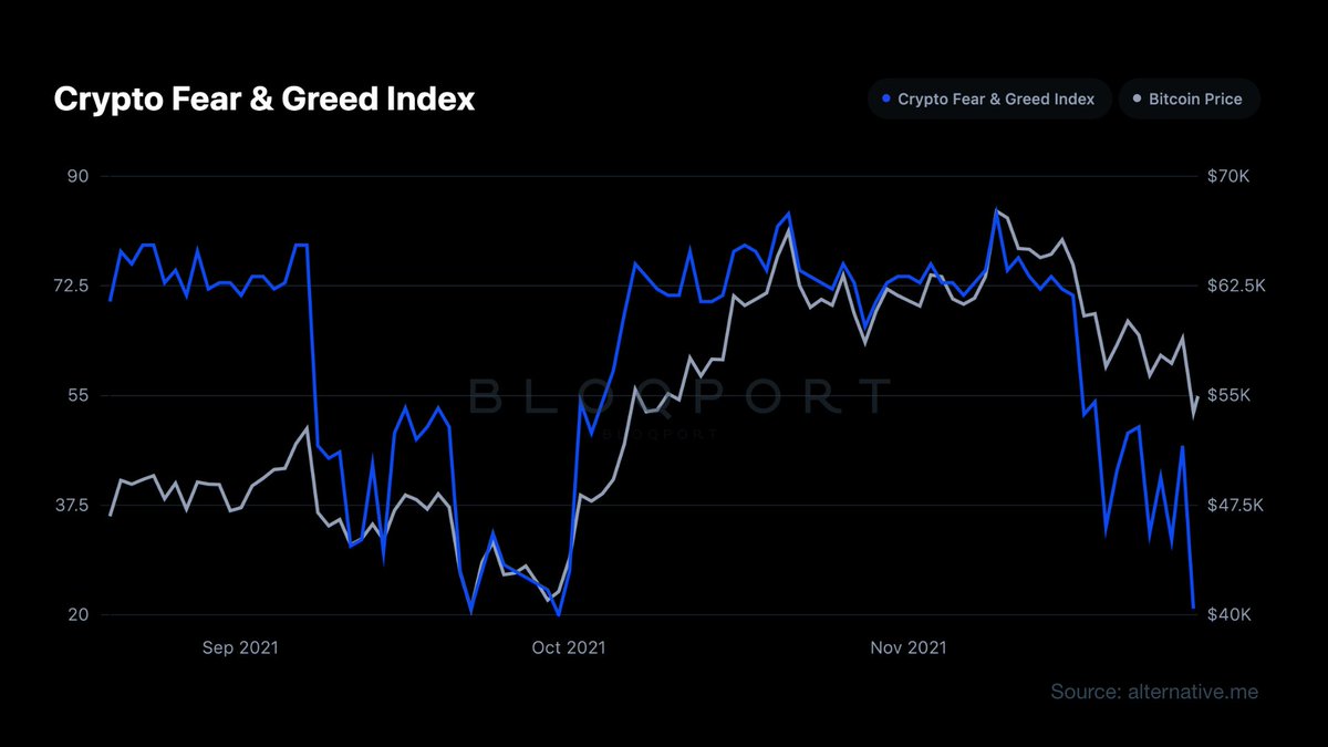 Bloqport Insights tweet media