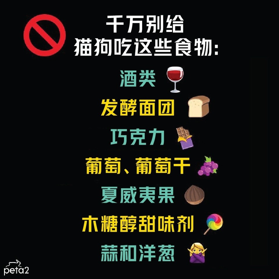 PETAAsiaZH's tweet photo. 🔔圣诞季就快到了，铲屎官们注意啦，千万别在聚会中给猫猫狗狗误食这些东西！这张图很重要，请分享给还不知道的人！！🐕🐈💕⁠

#dogs #cats #dog #cat #safety #dogandcatsafety #safetytips #animalsafetytips #animalsafety #animalrights #adoptdontshop #adoptdontbuy https://t.co/1oILKDuKLB
