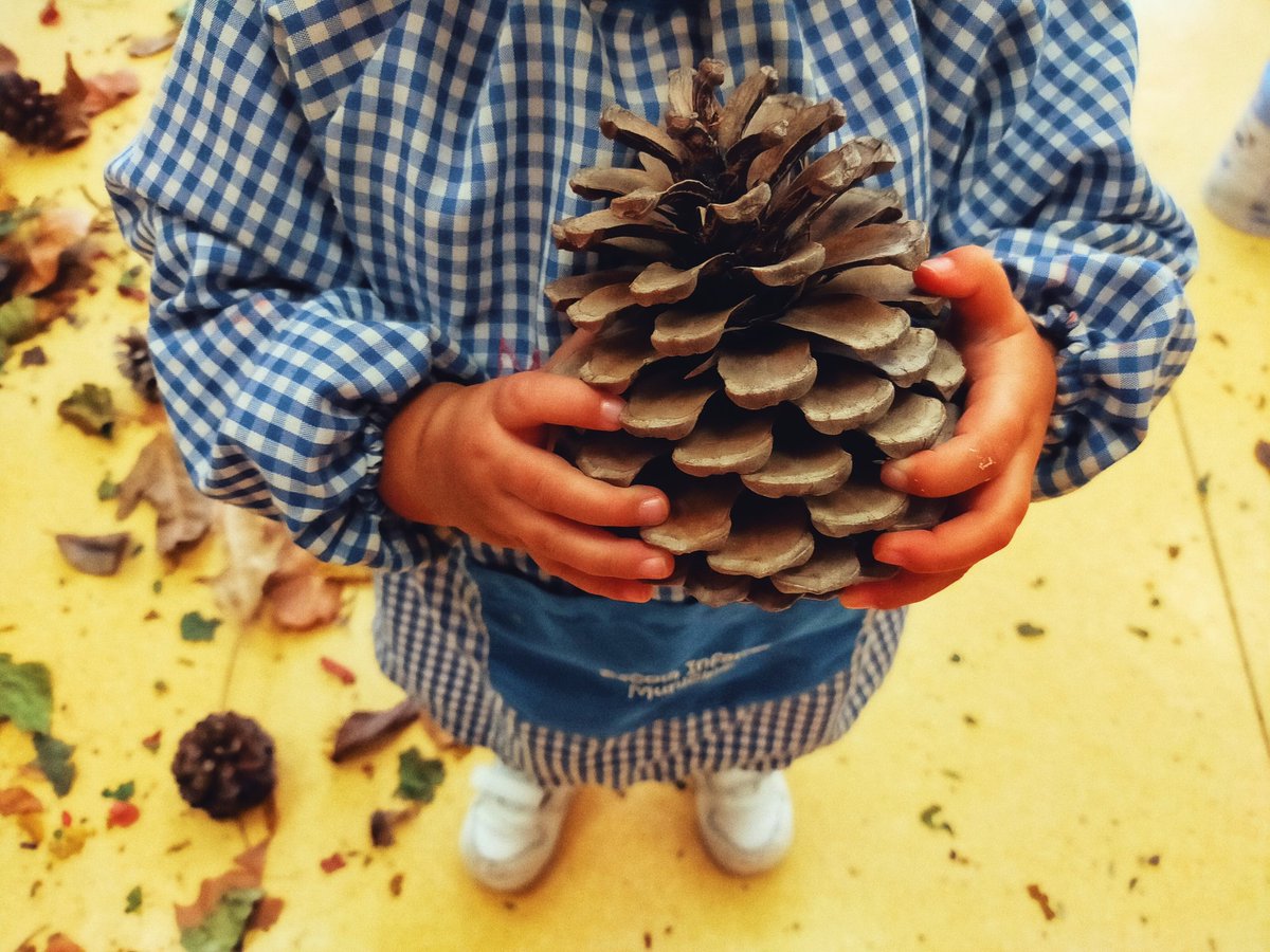 Inmaginacio123's tweet photo. Portem el món de fora a l'escola i deixem que jugue la imaginació... 🥰🍁🍂 #propostesdetardor #aula #inmaginacioalpoder #infantil https://t.co/jkUwUi1bG3