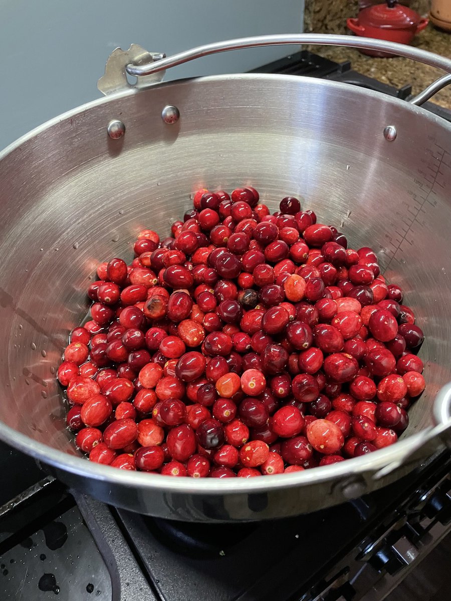 bobdobby's tweet photo. It’s time. It’s beginning to smell a lot like Christmas. #stillNovember ⁦@Dudleypig⁩ kitchen joy. https://t.co/mhdnstK2NW