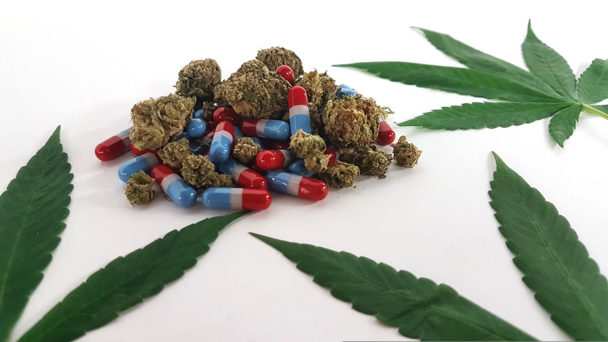 CBDLearningBase's tweet image. Ohio is now planning to expand the Medical Marijuana program.  A bill is to be drafted allowing growers to expand operations and other forms of administration such as pills and inhalants.

#cannabisgrower #cannabisculture #cannabisnews #CBD #CannabisLegal