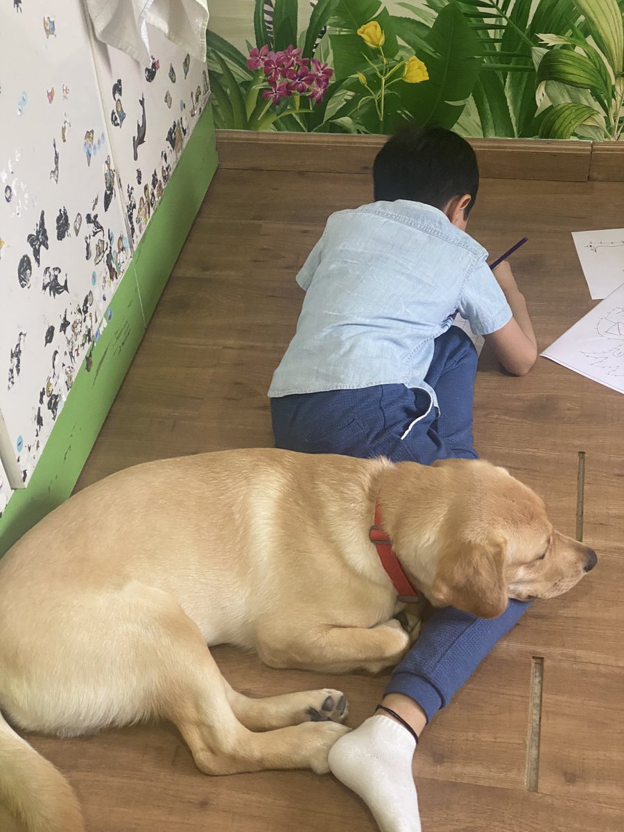 NilishaB's tweet photo. #schoolfromhome https://t.co/8XQOSkIDgF