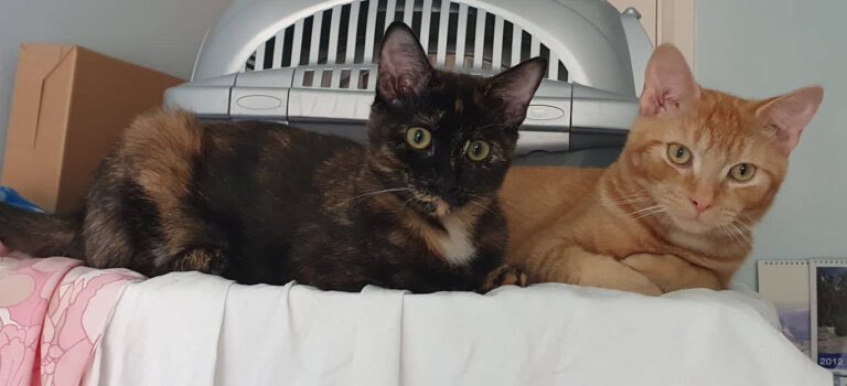 Marjorie Nash tweet media