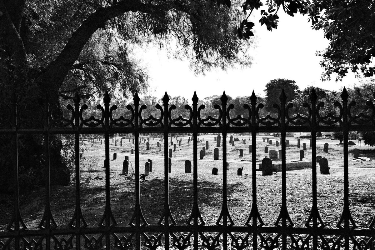 rossjardine's tweet photo. Another photo from White Hills Cemetery Chinese Section. Around a thousand Chinese are buried here after a wave of migration in the Victoria Gold Rush of 1854 onwards. #fujifilmx_au #MyFujifilmLegacy #fujifilm_xseries #fujifilm #sooc #bendigo #explorebendigo #GoldRush https://t.co/mOOD8lSu2p