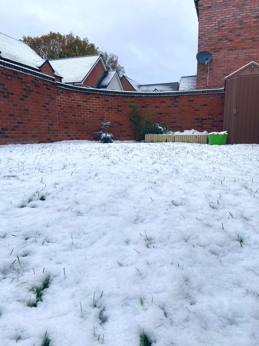 duttadebarun's tweet photo. Such a lovely start of #whiteweekend winter is here ❄️☃️⛄️ #christmastime🎄 https://t.co/Zz2UzjELns