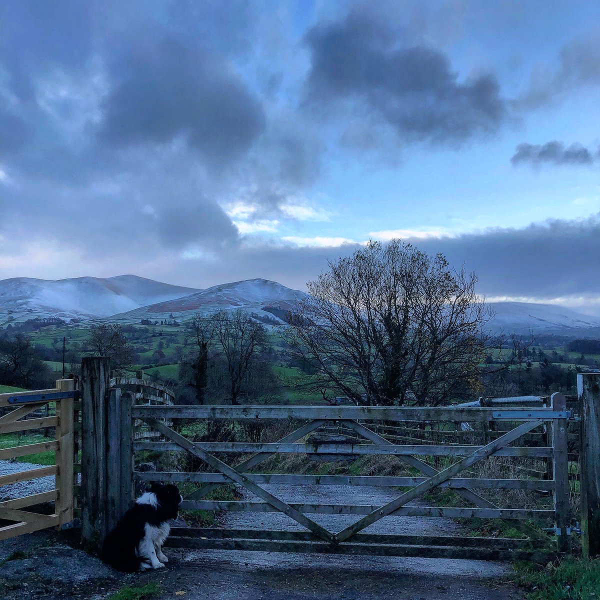 A cold morning on the hill 🥶🌬❄️❄️🌬🌬❄️🌬❄️❄️🌬🌬no power .. but all creatures great and small are safe and well #farm #storm #shephedess #StormArwen @NFUCountryside