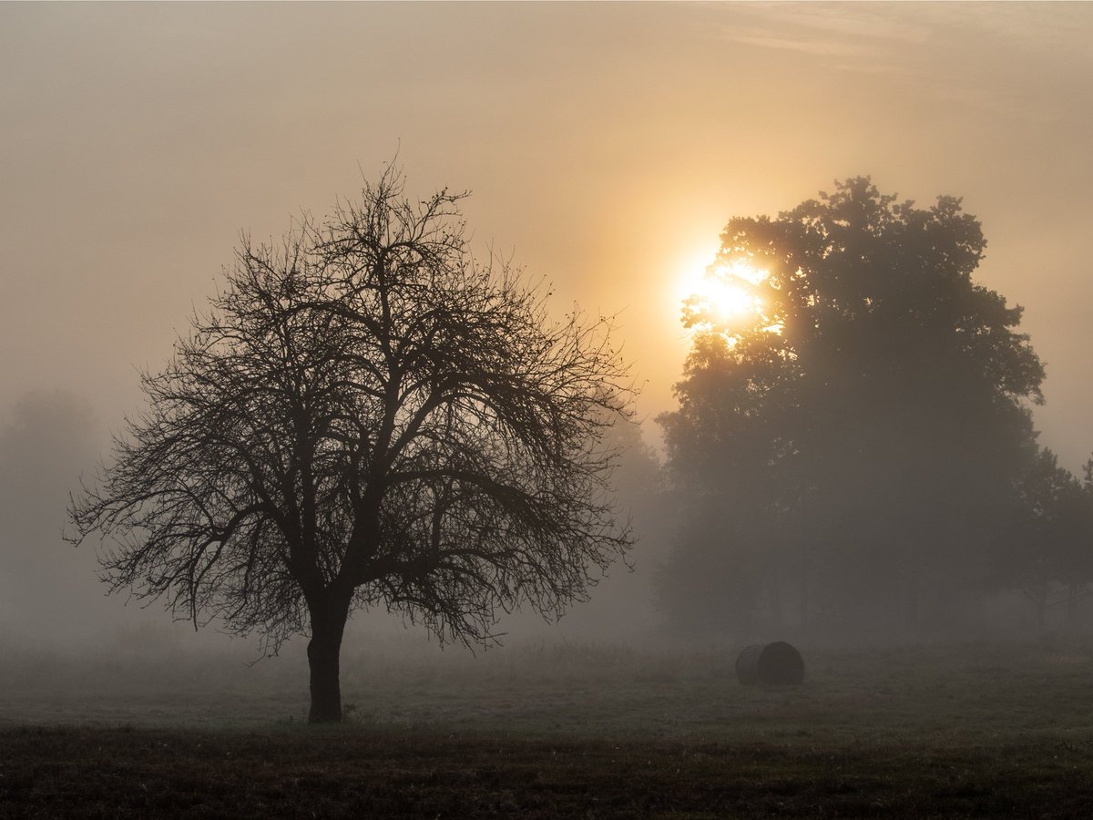 Rafał Fronczykowski tweet media