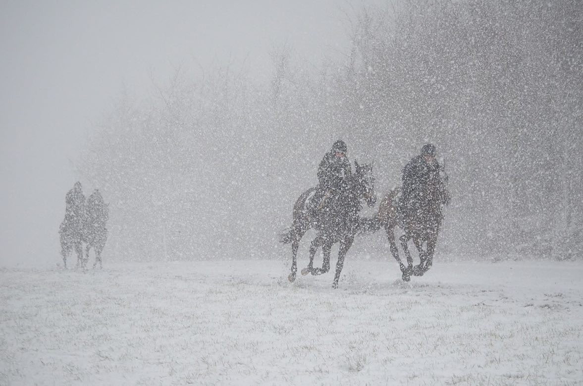 oneill_racing's tweet photo. Second lot this morning https://t.co/RpYNFzqMz6