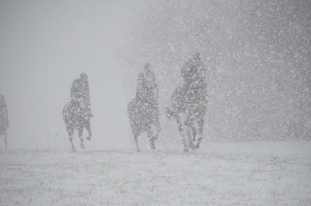 Second lot this morning