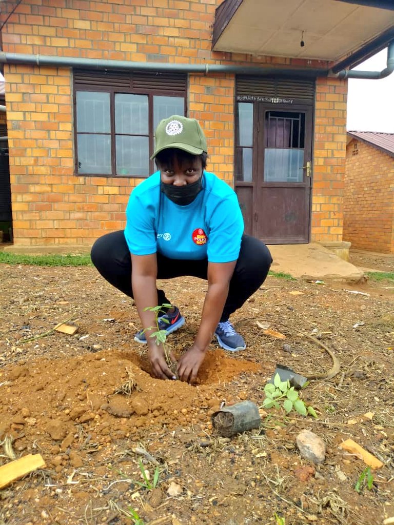 rckigali's tweet photo. 🌱"The true meaning of life is to plant trees, under whose shade you do not expect to sit". - Nelson Henderson
We are planting trees today so that people of @BugeseraDistr can find a shade to sit under tomorrow. @WVRwanda
#PlantWithRotary, #ServetoChangeLives https://t.co/zvVQEodAmG