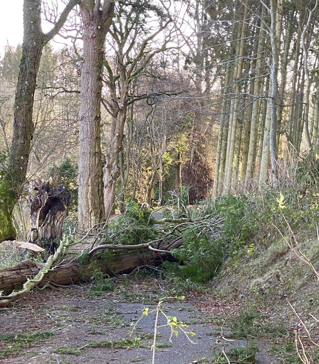 Scott’s Bench tweet media