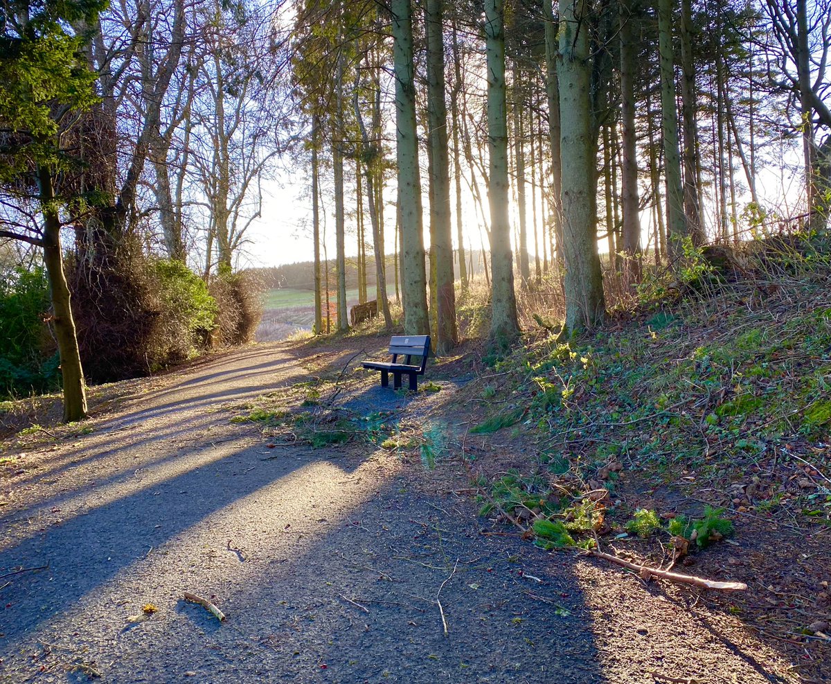 Scott’s Bench tweet media