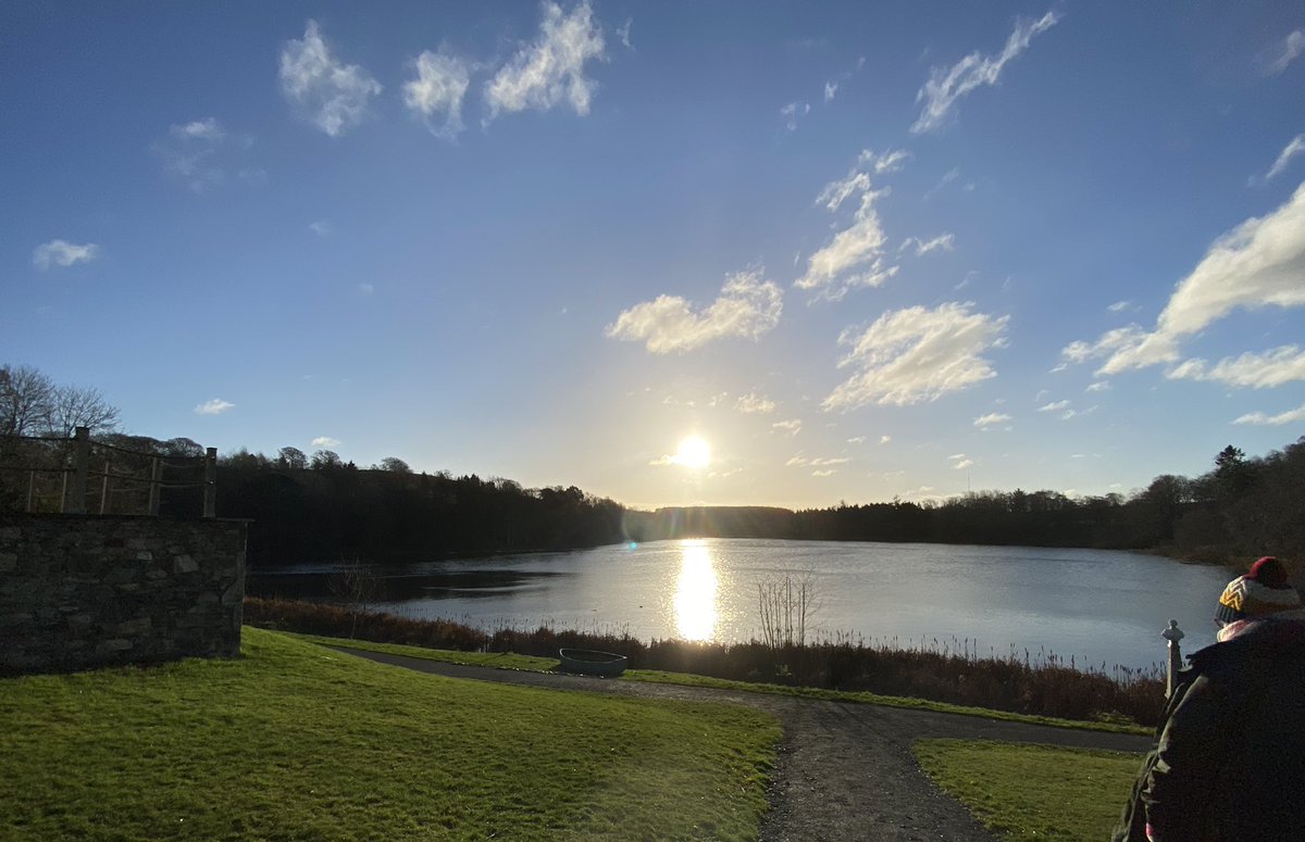 Scott’s Bench tweet media