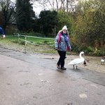 Photo by Rickmansworth parkrun (@rickyparkrun)